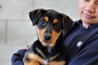 Two out of three Kiwis hugely underestimate running costs of SPCA