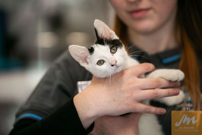 The positive power of pet ownership