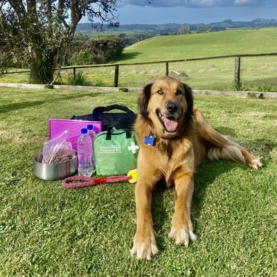 Get your pets ready for New Zealand ShakeOut