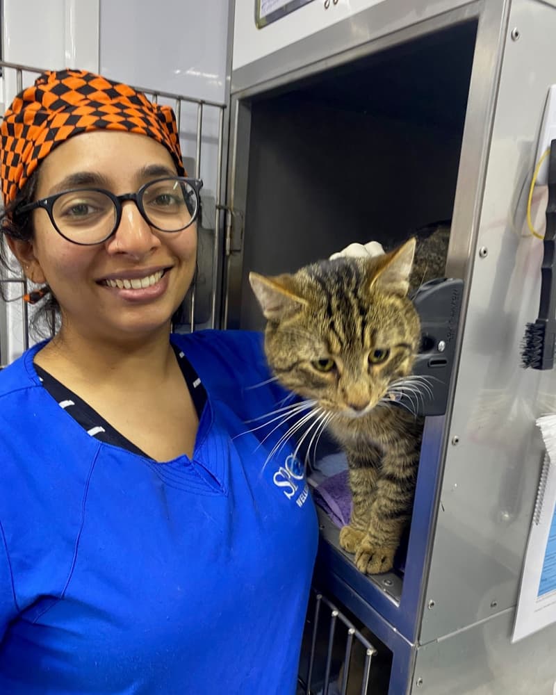 Gallery: SPCA Mobile Desexing Clinic staff