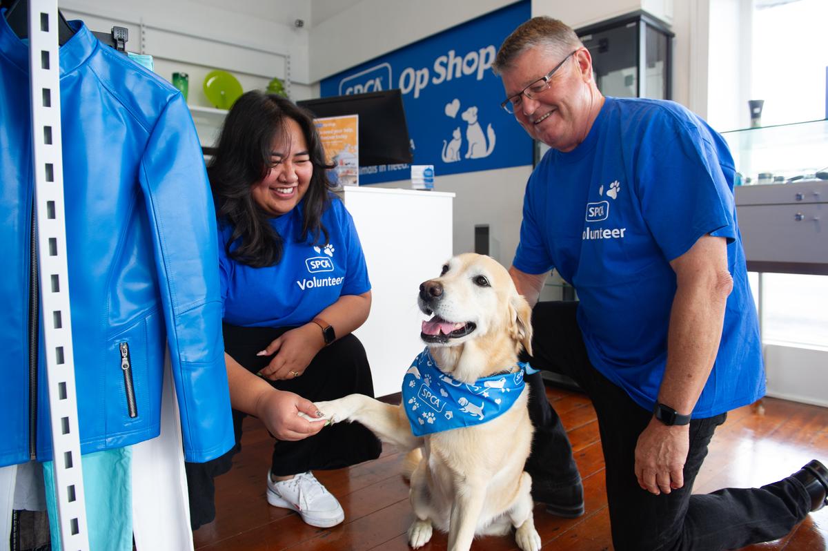 Help animals in need this Christmas through our SPCA Op Shops 