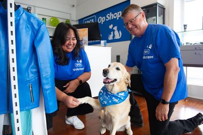Help animals in need this Christmas through our SPCA Op Shops 