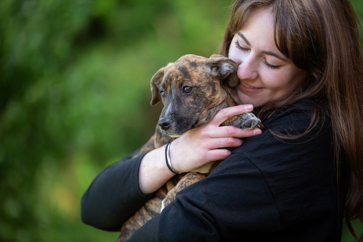 SPCA puppy receiving a hug