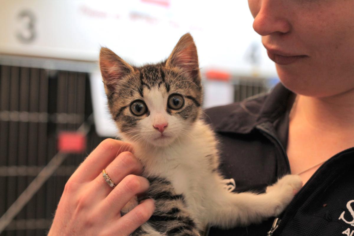 Snip ‘n’ Chip continues to make an impact