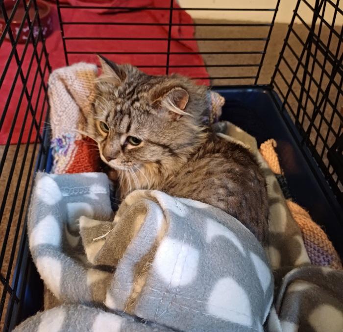 Duncan went home with Robbie to experience life in loving foster care.