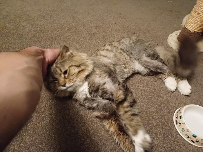 Duncan soon started to show affection.