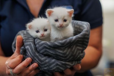 New Zealanders double their impact for animals in need 