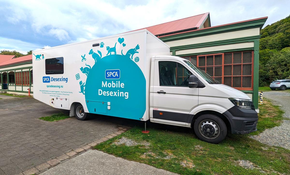 SPCA’s Mobile Desexing Clinic heads to Porirua and The Hutt Valley 