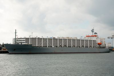 A timeline of tragedy: Live export disasters