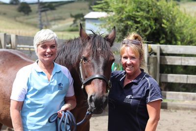 Wild Kaimanawa Horses