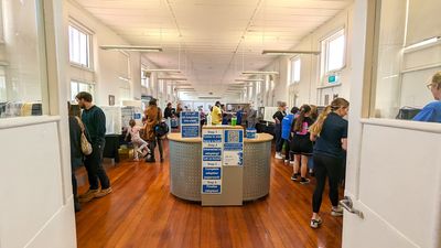 Hundreds of animals find forever homes after SPCA’s latest campaign to ‘Clear the Shelters’