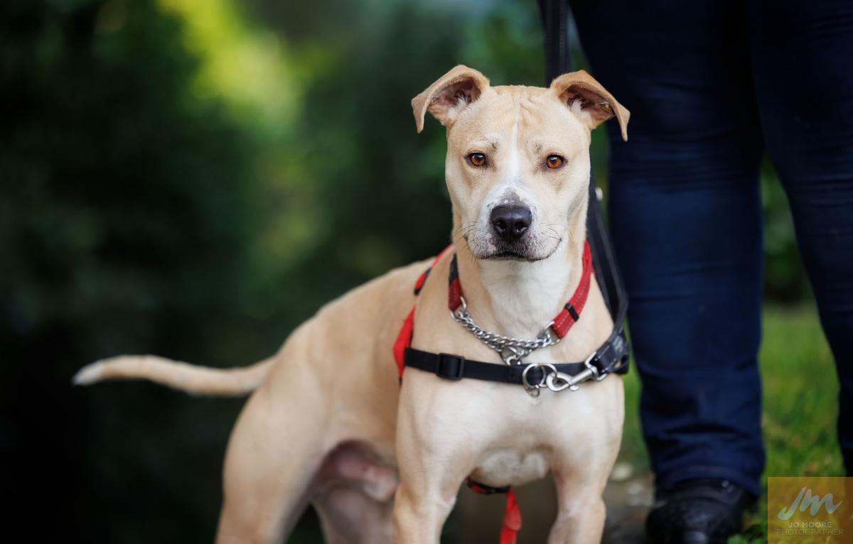 With a lot of love and care, Phoenix began to grow into his own.