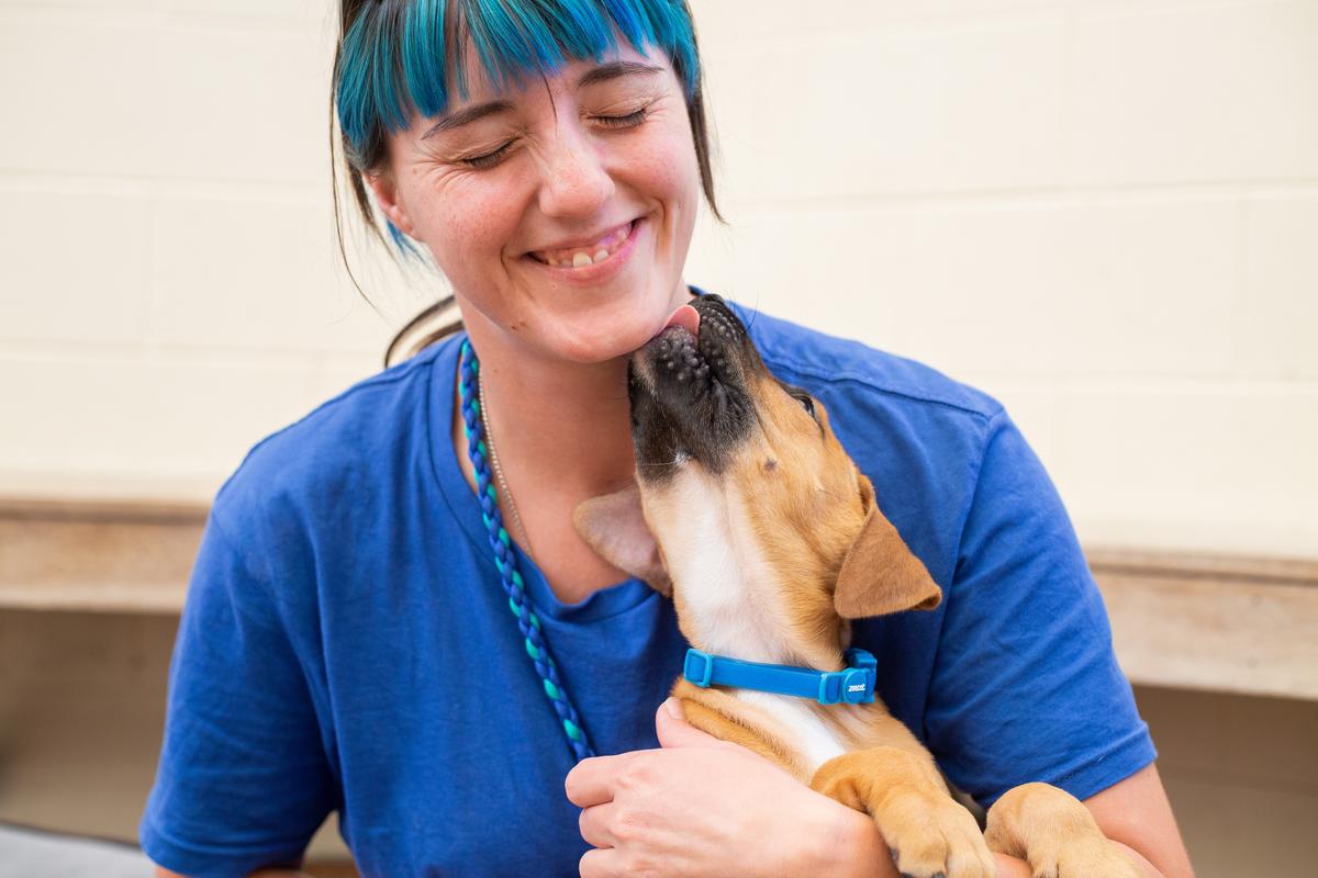 SPCA’s ‘top dog’ recognises outstanding volunteers with 2024 SPCA Nestlé Purina National Volunteer Awards