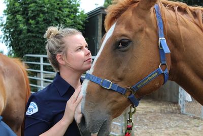 Saving special animals - the life of an SPCA inspector