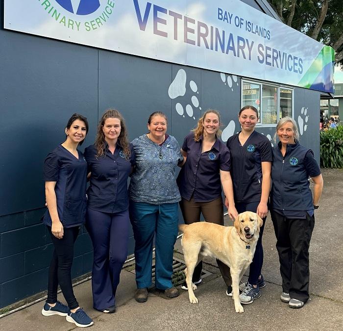 The team at Bay of Islands Veterinary Services